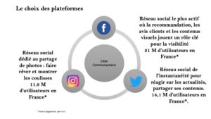 infographie réseaux sociaux